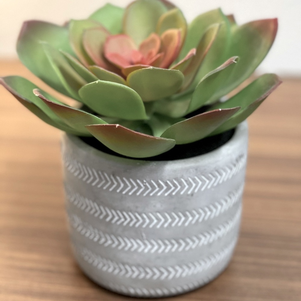 Succulent Decor Rosette Leaf Faux Plant - New